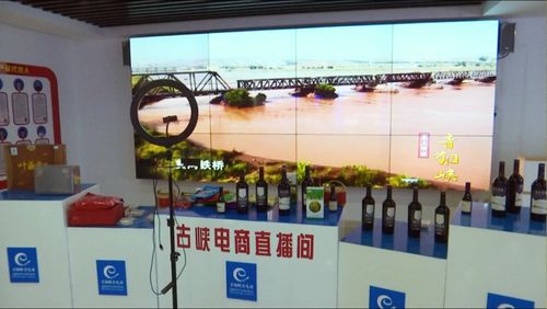 京東集團西北區總部考察青銅峽市電子商務服務，共謀區域數字經濟發展新篇章